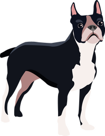 Dog clipart