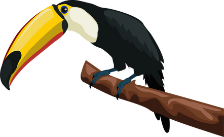 Toucan clipart