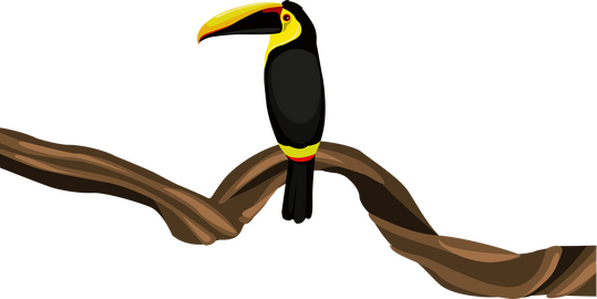 Toucan clipart