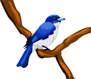 Blue Bird clipart