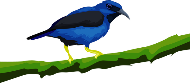 Cute blue bird clipart