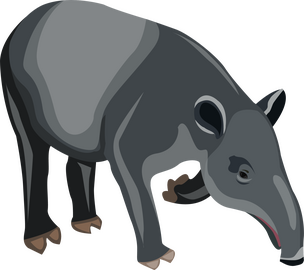 Tapir clipart