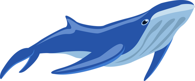 Cartoon whale clipart