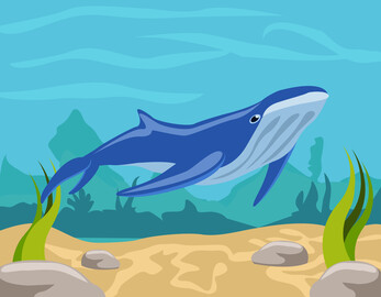 Cartoon whale vector image