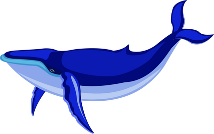 Whale clipart