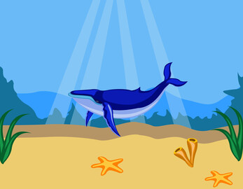 Whale vector image