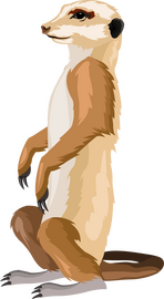 Meerkat animal clipart