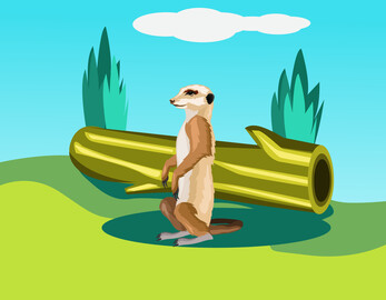 Meerkat animal vector image