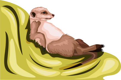 Cute meerkat animal clipart