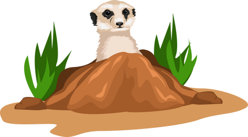 Meerkat clipart