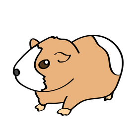 Guinea Pig clipart