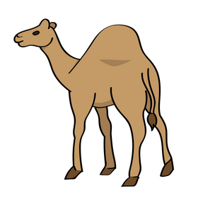 Camel clipart