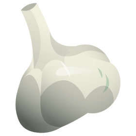 Garlic clipart