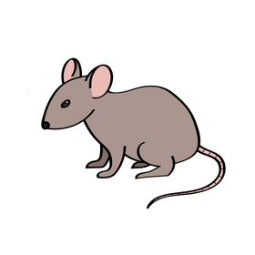 Rat clipart