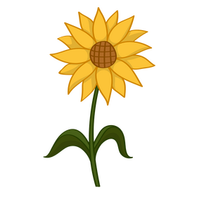 Sunflower clipart