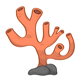 Coral clipart
