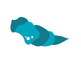 Long shell clipart