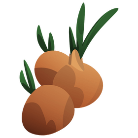 Onion bunch clipart