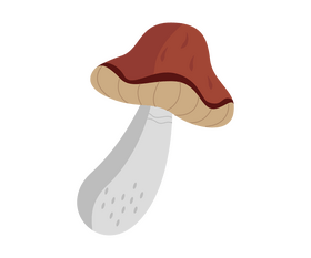 Free mushroom clipart