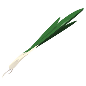 Green onion clipart