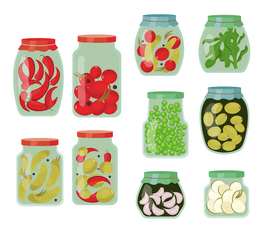 Canned vegetables vector
