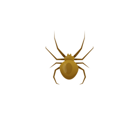 Spider clipart