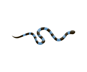 Blue snake clipart