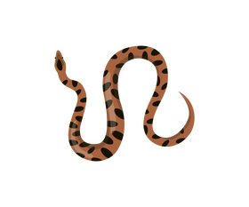 Spotted snake clipart