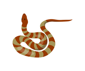 Striped snake clipart