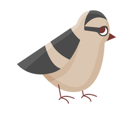 Cartoon bird clipart