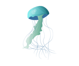 Free jellyfish clipart