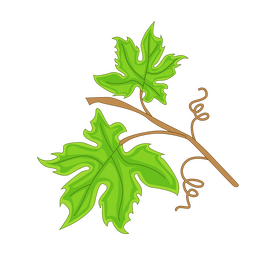 Vine branch cartoon clipart