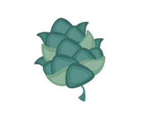 Beer hops plant clipart