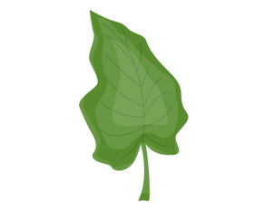 Cartoon leaf clipart