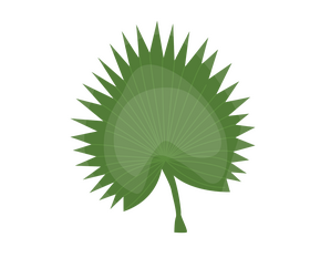 Leaves cartoon clipart