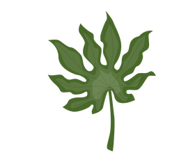 Leaves clipart