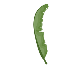 Leaf clipart