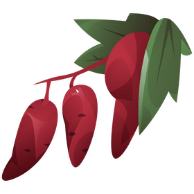 Sweet potato plant clipart