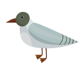 Cartoon dove bird clipart