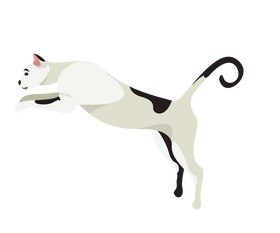 Black and white cat clipart
