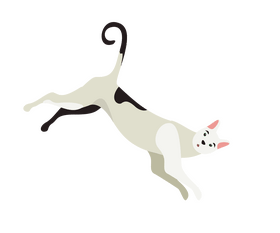 Jumping cat cartoon clipart