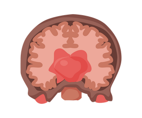Brain inside clipart