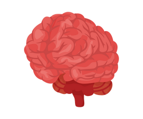 Brain clipart