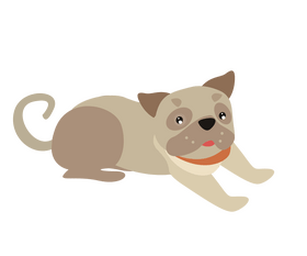 Sitting brown pug dog clipart
