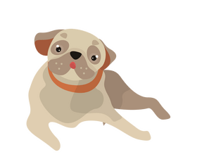 Brown pug dog sitting clipart