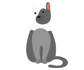 Cat illustration clipart