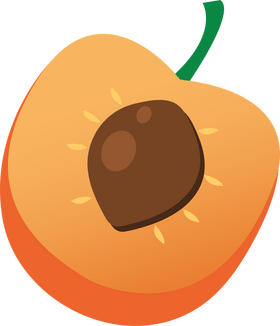 Apricot Sliced in Half clipart