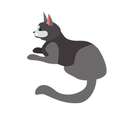 Sitting dark gray cat clipart
