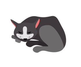 Sleeping cat clipart