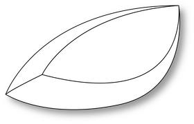 Slice of Apricot black and white clipart